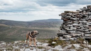 Wild Boar Fell & Sand Tarn – Wild Camp #031