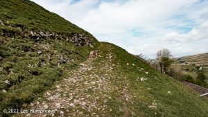 Wild Boar Fell & Sand Tarn – Wild Camp #031