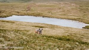 Wild Boar Fell & Sand Tarn – Wild Camp #031