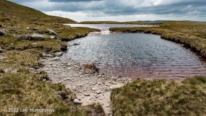 Wild Boar Fell & Sand Tarn – Wild Camp #031