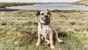 Wild Boar Fell & Sand Tarn – Wild Camp #031