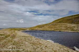 Wild Boar Fell & Sand Tarn – Wild Camp #031