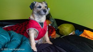 Wild Boar Fell & Sand Tarn – Wild Camp #031
