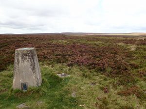 Withins Height Trig Point