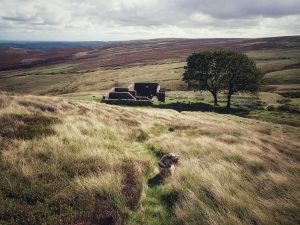 Withins Height Trig Point