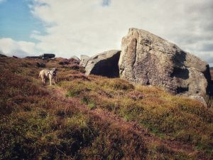 Withins Height Trig Point