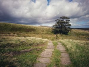 Withins Height Trig Point