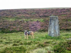 Withins Height Trig Point