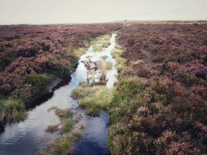 Withins Height Trig Point