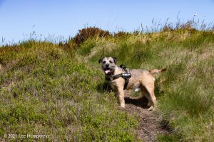 Wycoller Wander