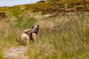 Wycoller Wander