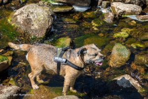 Wycoller Wander
