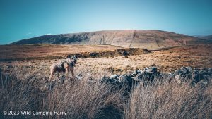 #044: Great Coum, Yorkshire Dales – Wild Camp