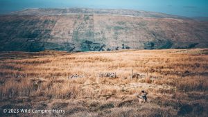 #044: Great Coum, Yorkshire Dales – Wild Camp
