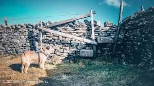 #044: Great Coum, Yorkshire Dales – Wild Camp
