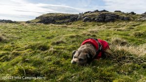 High Mark, Malham – Wild Camp #045
