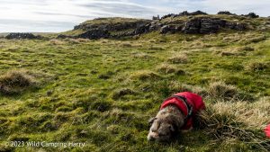 High Mark, Malham – Wild Camp #045