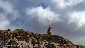 Sprinkling Tarn, Lake District – Wild Camp #046