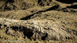 Sprinkling Tarn, Lake District – Wild Camp #046