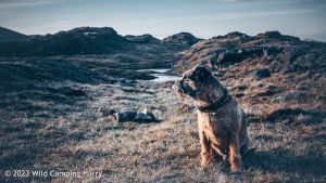 Sprinkling Tarn, Lake District – Wild Camp #046