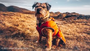 Sprinkling Tarn, Lake District – Wild Camp #046