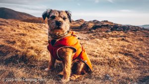 Sprinkling Tarn, Lake District – Wild Camp #046
