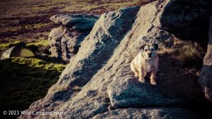 The Dove Stones – Wild Camp #047