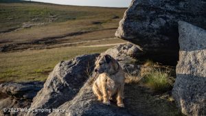 The Dove Stones – Wild Camp #047