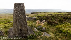 The Wolf Stones – Wild Camp #048