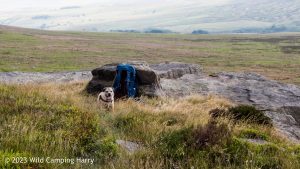 The Wolf Stones – Wild Camp #048