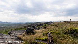 The Wolf Stones – Wild Camp #048