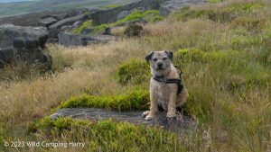 The Wolf Stones – Wild Camp #048