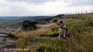 The Wolf Stones – Wild Camp #048