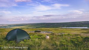 The Wolf Stones – Wild Camp #048