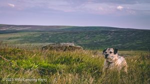 The Wolf Stones – Wild Camp #048