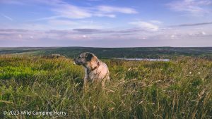 The Wolf Stones – Wild Camp #048