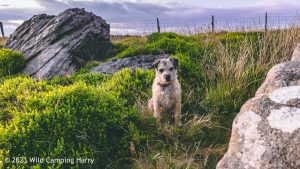The Wolf Stones – Wild Camp #048