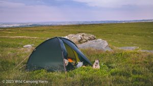 The Wolf Stones – Wild Camp #048