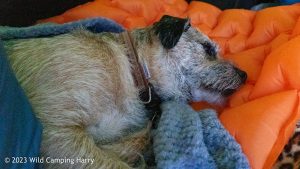 The Wolf Stones – Wild Camp #048