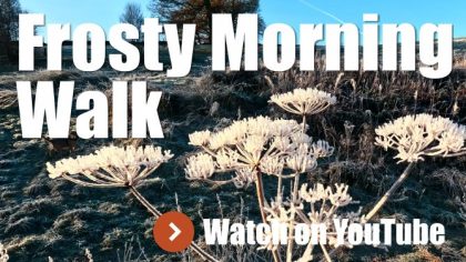 Walking Harry - Frosty Morning Walk