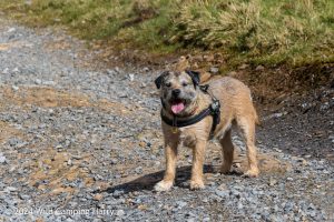 Drumaldrace, Yorkshire Dales - A 'Dales 30' Hike