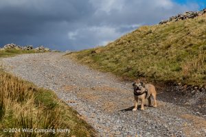 Drumaldrace, Yorkshire Dales - A 'Dales 30' Hike