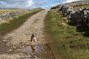 Drumaldrace, Yorkshire Dales - A 'Dales 30' Hike