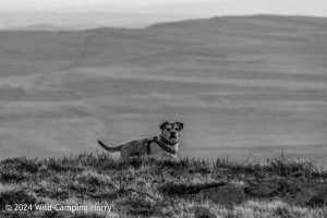 Great Whernside – Wild Camp #050