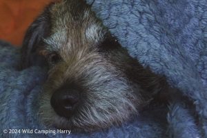 Great Whernside – Wild Camp #050