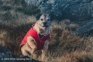 Great Whernside – Wild Camp #050