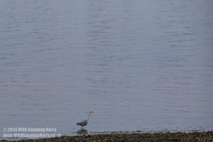 Largs Harbour
