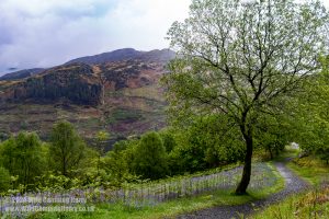 Loch Trool, Galloway Forest Park – Wild Camp #051