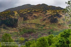 Loch Trool, Galloway Forest Park – Wild Camp #051
