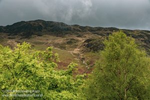 Loch Trool, Galloway Forest Park – Wild Camp #051